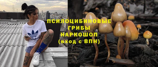 дживик Кодинск