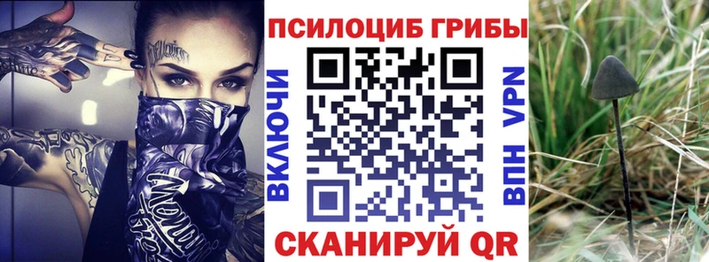 Псилоцибиновые грибы GOLDEN TEACHER Зеленодольск