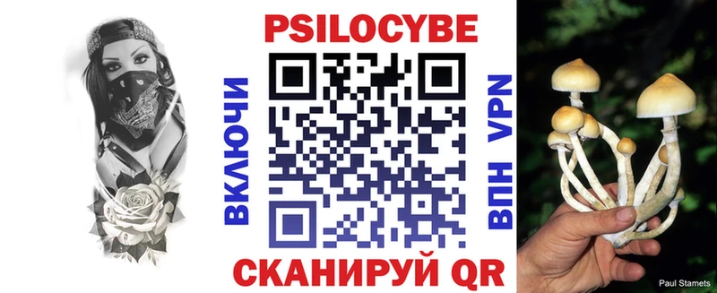 Псилоцибиновые грибы Cubensis  наркошоп  Зеленодольск 